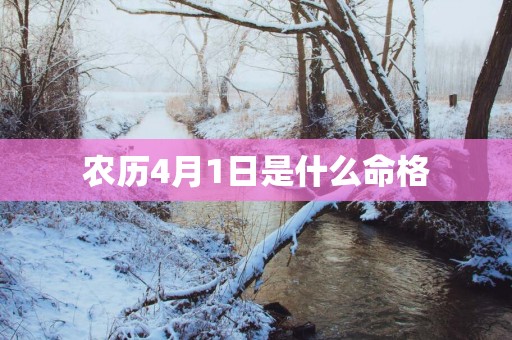 农历4月1日是什么命格