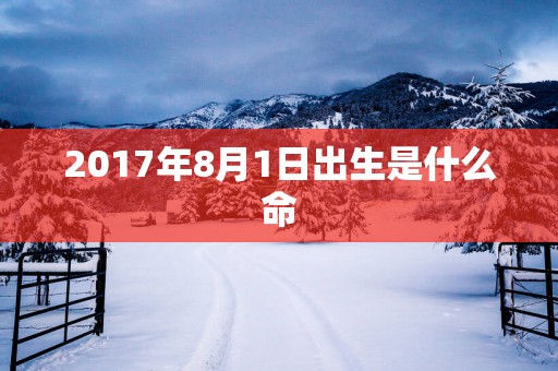 2017年8月1日出生是什么命