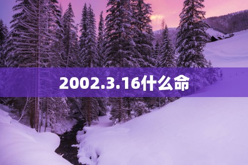 2002.3.16什么命