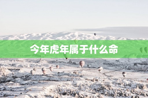 今年蛇年属于什么命