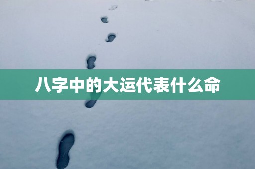 八字中的大运代表什么命