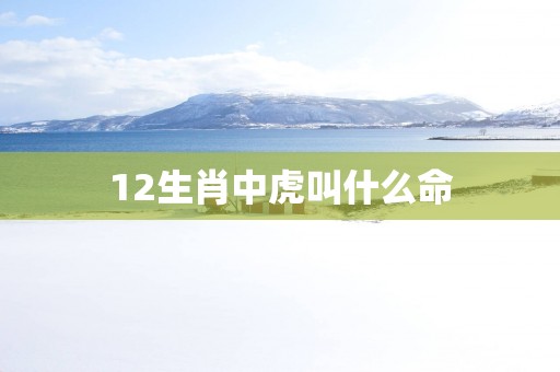 12生肖中虎叫什么命