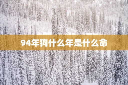 94年狗什么年是什么命