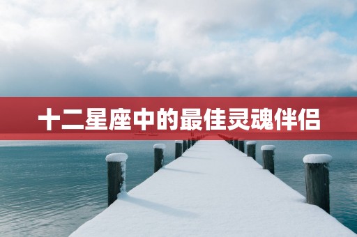 十二星座中的最佳灵魂伴侣