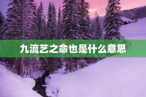 九流艺之命也是什么意思