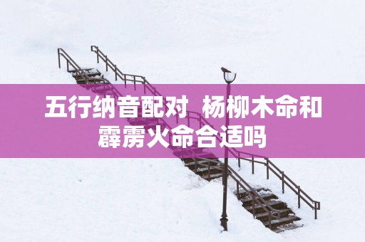 五行纳音配对  杨柳木命和霹雳火命合适吗