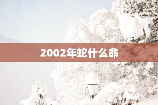 2002年蛇什么命