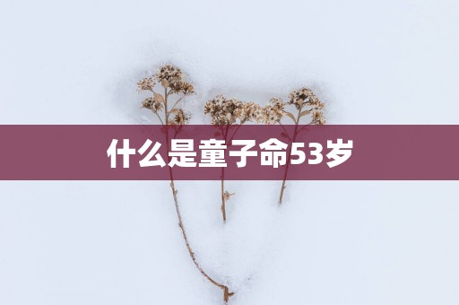 什么是童子命53岁
