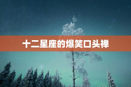 十二星座的爆笑口头禅