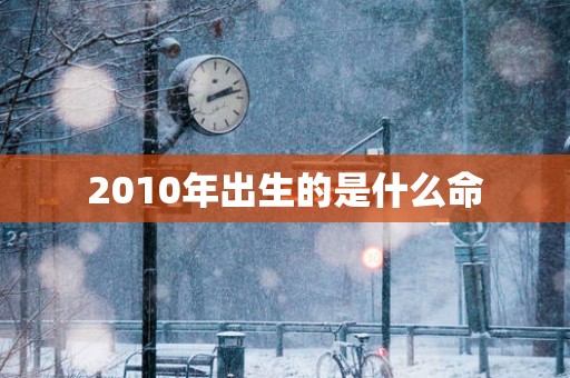 2010年出生的是什么命