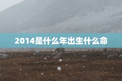 2014是什么年出生什么命