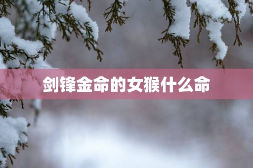 剑锋金命的女猴什么命