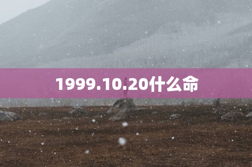 1999.10.20什么命
