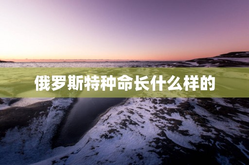 俄罗斯特种命长什么样的