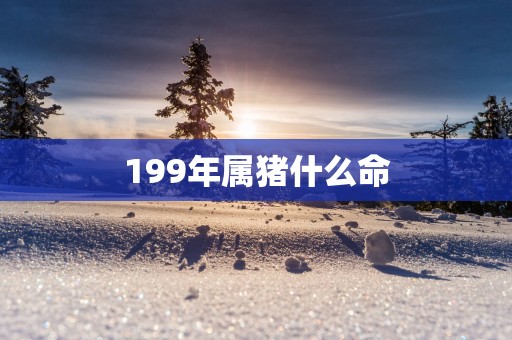 199年属猪什么命