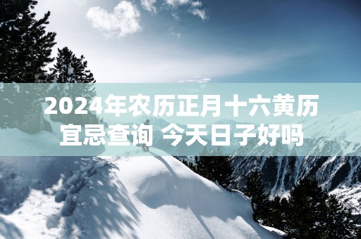 2025年农历正月十六黄历宜忌查询 今天日子好吗