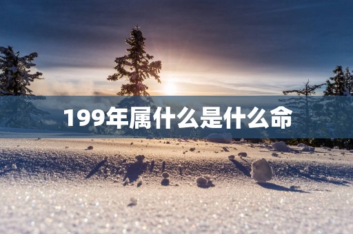 199年属什么是什么命