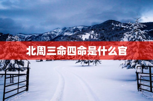 北周三命四命是什么官