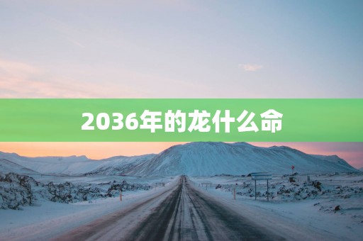 2036年的龙什么命