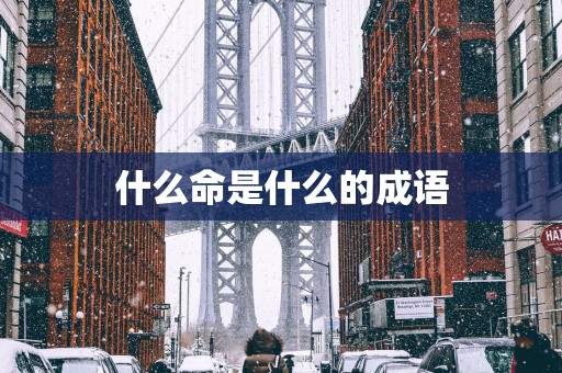 什么命是什么的成语