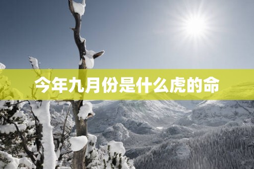 今年九月份是什么虎的命