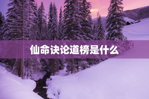 仙命诀论道榜是什么