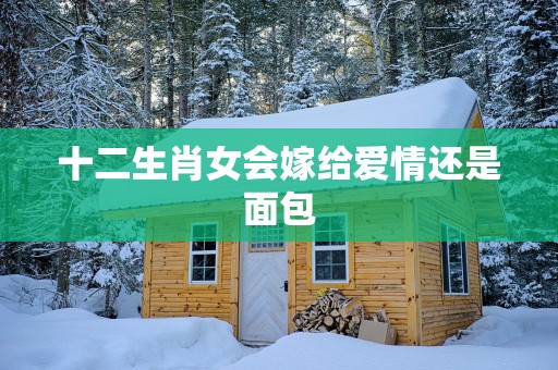 十二生肖女会嫁给爱情还是面包