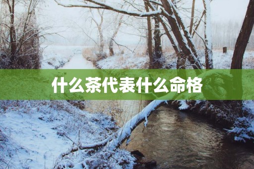 什么茶代表什么命格
