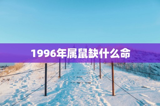 1996年属鼠缺什么命