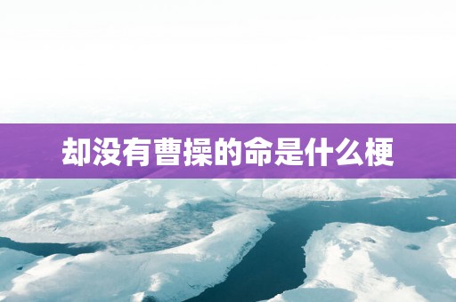却没有曹操的命是什么梗