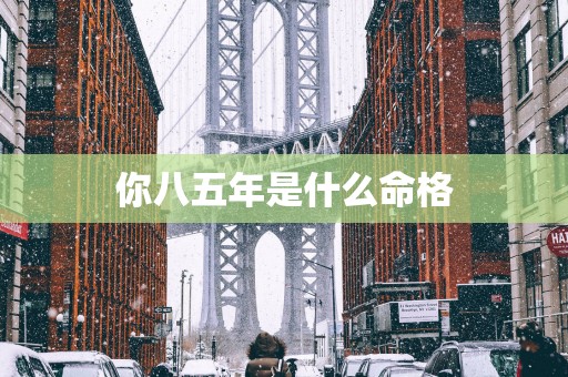 你八五年是什么命格