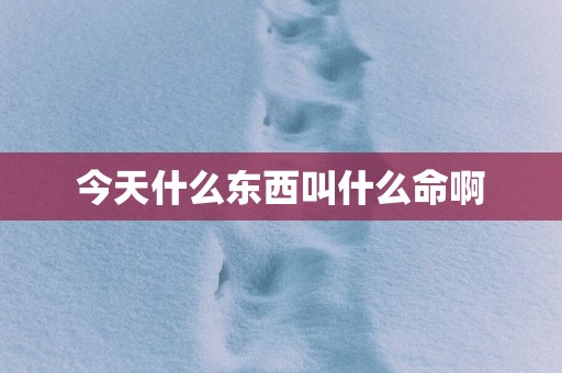 今天什么东西叫什么命啊