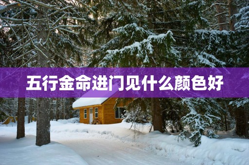五行金命进门见什么颜色好