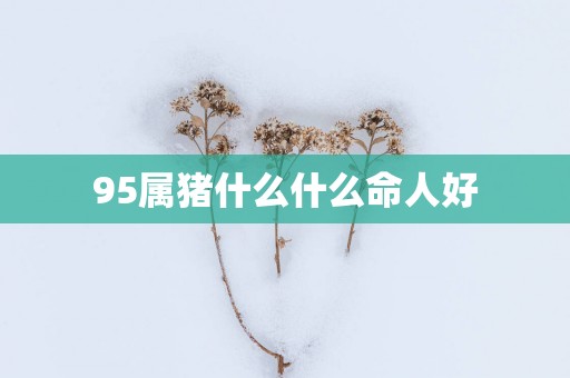95属猪什么什么命人好