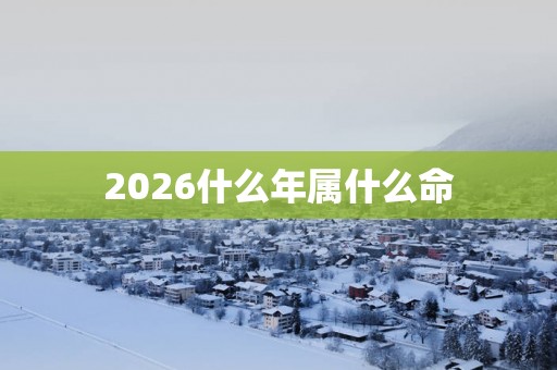 2026什么年属什么命