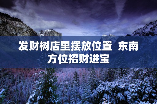 发财树店里摆放位置  东南方位招财进宝