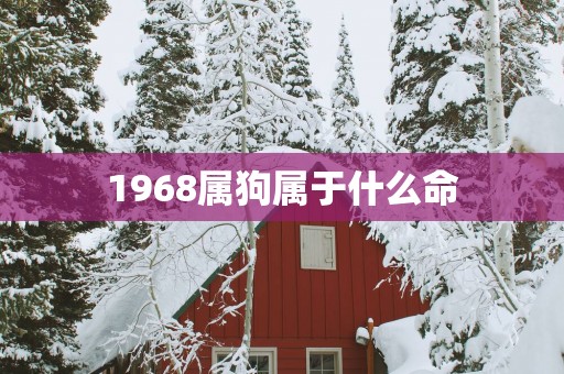1968属狗属于什么命