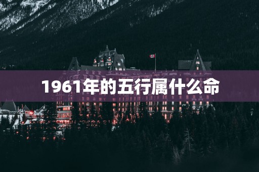 1961年的五行属什么命