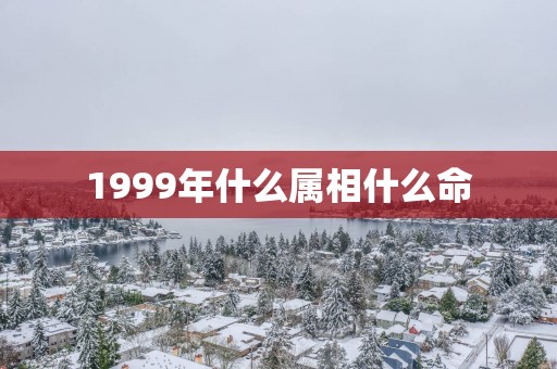 1999年什么属相什么命