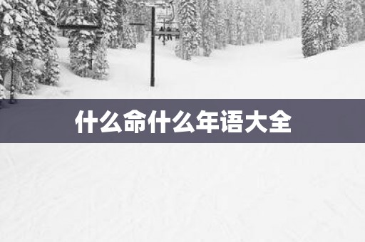 什么命什么年语大全