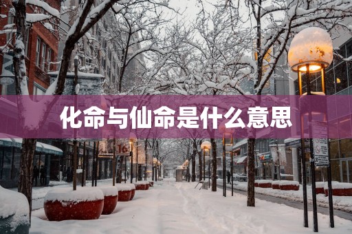 化命与仙命是什么意思