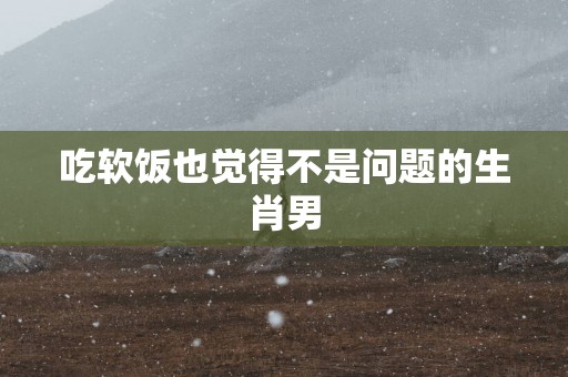 吃软饭也觉得不是问题的生肖男 吃软饭也觉得不是问题的生肖男