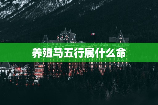 养殖马五行属什么命
