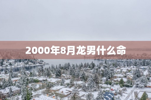 2000年8月龙男什么命