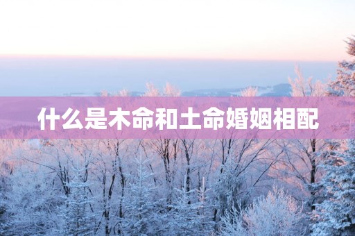 什么是木命和土命婚姻相配