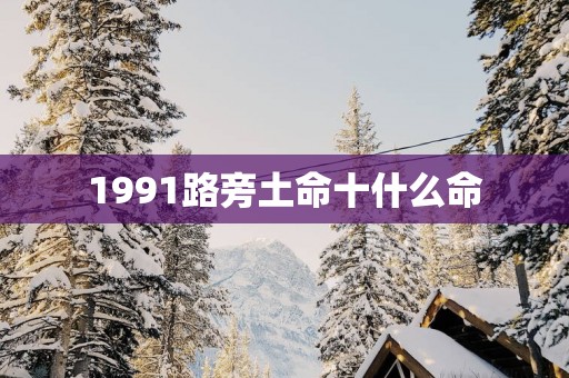 1991路旁土命十什么命