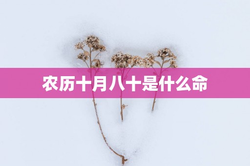 农历十月八十是什么命