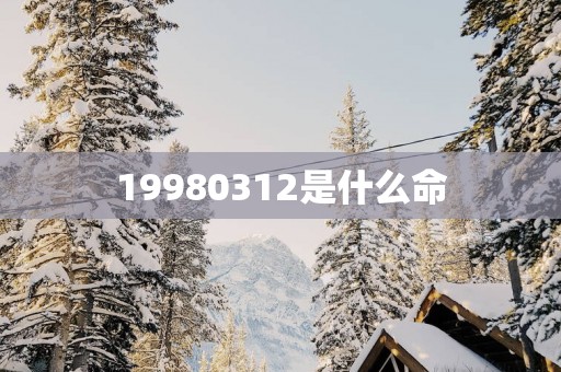 19980312是什么命