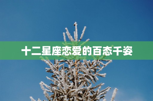 十二星座恋爱的百态千姿