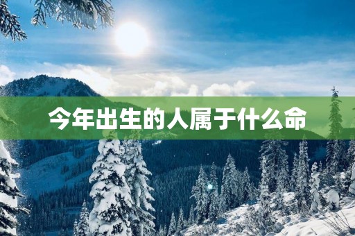 今年出生的人属于什么命